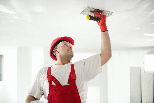 Best Water-Damaged Drywall Repair  in South Lebanon, OH